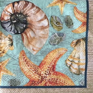 3 servilletas de bebidas decoupage, hermosas conchas marinas acuarela verano, 10" x 10" desplegadas