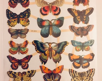 Butterflies SCRAP RELIEFS (1 sheet) #7426 - Embossed Die Cuts - Made in Germany