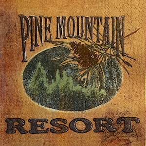 3 Decoupage Drank Servetten, Wilderness Lodge Pine Mountain Resort, 10 x 10" uitgevouwen