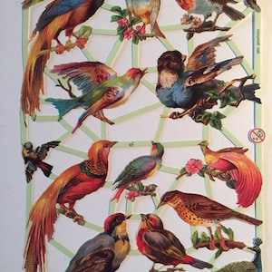 Colorful Birds SCRAP RELIEFS (1 foglio) #7246 - Tagli di dadi in rilievo - Made in Germany