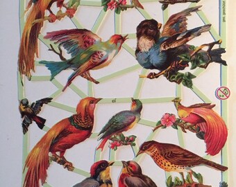 Colorful Birds SCRAP RELIEFS (1 sheet) #7246 - Embossed Die Cuts - Made in Germany