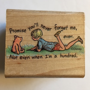 All Night Media 728E Classic Winnie the Pooh PROMISE ME Holzstempel Used
