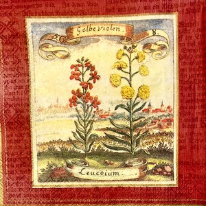 3 Decoupage Drank servetten, Vier Historische Planten Botanische Prints, 10 "x 10" uitgevouwen
