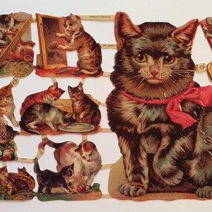 SCRAP RELIEFS CAT (1 foglio) #7214 -Grande gatto marrone - Tagli di dado in rilievo - Made in Germany
