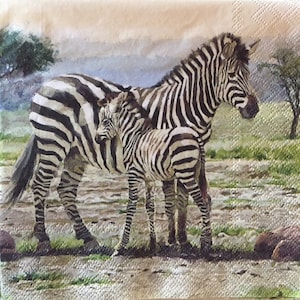 3 Decoupage Napkins, Zebra Family African Animals 13&quot; x 13&quot; unfolded