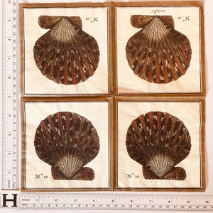 3 serwetki do napojów do decoupage'u, klasyczne muszle morskie w kształcie łapy lwa, 10" x 10" po rozłożeniu