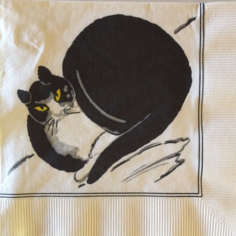 May include: A black and white cat with yellow eyes is curled up on a white background. The cat's tail is wrapped around its body.