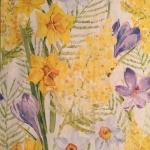 3 Découleurs, Jardin des Jonquilles de Mantra de printemps, 13" x 13"