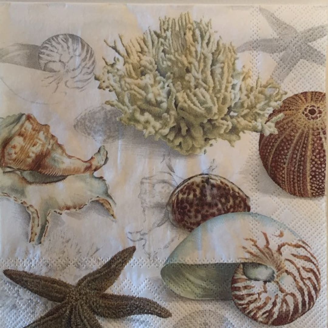 3 Decoupage Napkins Nature Sand Seashells Drawing 13 Etsy
