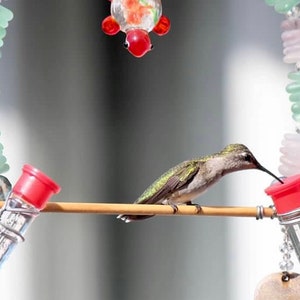 Sea Glass Hummingbird Swing / Hummingbird Swing with Feeder
