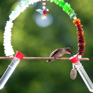 Hummingbird Swing / Sea Glass Hummingbird Swing