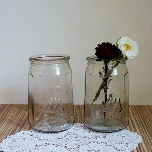 2er Set Obst-Einmachgläser, 0,7l Pressglasgläser, mit Birnen-Motiv geprägt, Blumenampel, Küchendose, Vintage Sammlerstücke