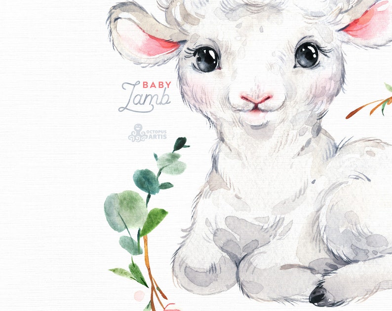 Baby Lamb. Watercolor little animals clipart Farm country | Etsy