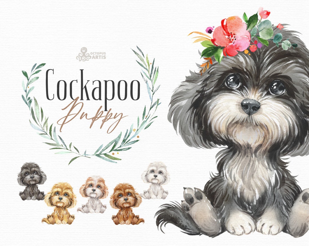 Cockapoo. Watercolor Little Animal Clipart, Portrait, Puppy, Doggie ...