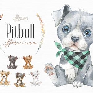 American Pitbull. Watercolor little animal clipart, Pit Bull Terrier, portrait, puppy, doggie, baby, flowers, kids nursery, dog, wreath