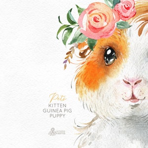 Pets. Kitten, Guinea Pig, Puppy. Watercolor little animals clipart, baby, cavy, sunglasses, pussycat, flowers, kids nursery art, baby-shower image 4