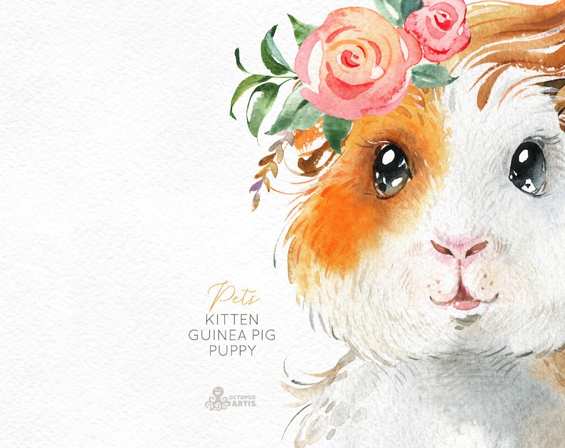 Pets. Kitten, Guinea Pig, Puppy. Watercolor little animals clipart, baby, cavy, sunglasses, pussycat, flowers, kids nursery art, baby-shower image 4