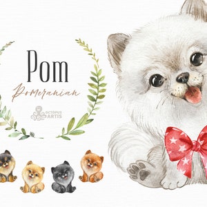 Pomeranian Dog. Watercolor little pet clipart, portrait, puppy, doggie, baby, flowers, kids, nursery, wreath, friend, bow, spitz, pom image 1