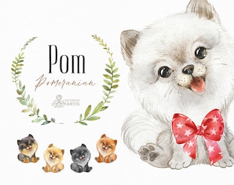 Pomeranian Dog. Watercolor little pet clipart, portrait, puppy, doggie, baby, flowers, kids, nursery, wreath, friend, bow, spitz, pom