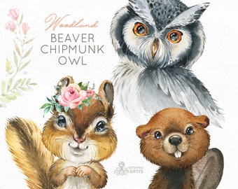 Beaver Chipmunk Owl. Watercolor animals clipart, woodland, forest, wreath, flowers, kids, cute, nursery art, nature, realistic, wild