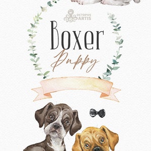 Boxer. Watercolor little animal clipart, German boxer, portrait, puppy, doggie, baby, nursery, dog, wreath, cute, pet image 2