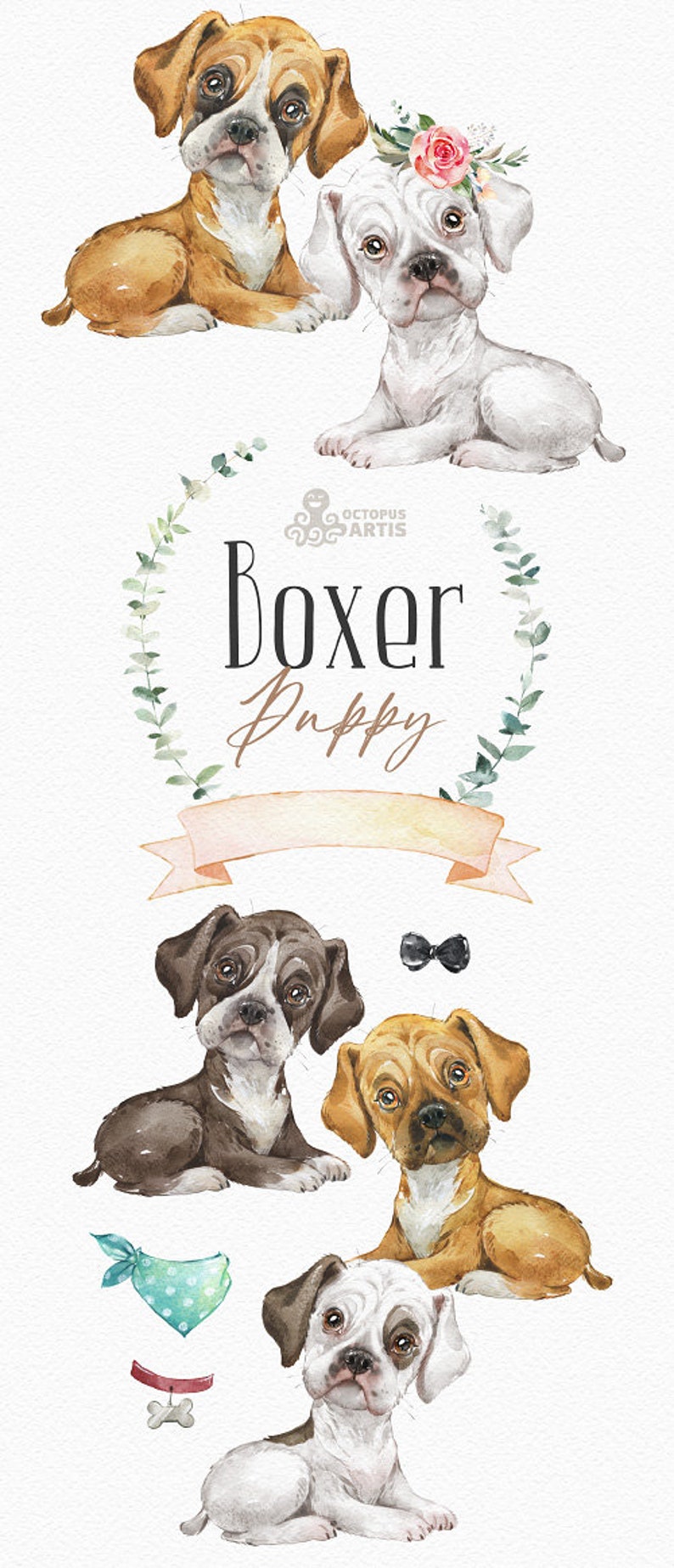 Boxer. Watercolor little animal clipart, German boxer, portrait, puppy, doggie, baby, nursery, dog, wreath, cute, pet image 2