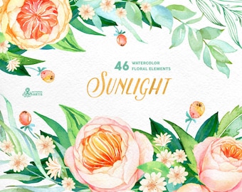Sunlight: 46 Watercolor Elements, popies, roses, floral wedding invitation, greeting card, diy clip art, flowers, sun, quote clipart, berry