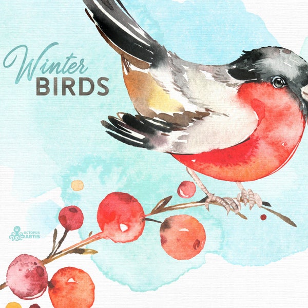 Winter Birds. Watercolor holiday clipart, bullfinch, rowan, Christmas, cards, conifers, handpainted, floral, invite, country, wild, red