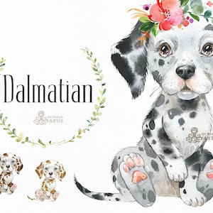 Dalmatian. Watercolor little pet clipart, portrait, puppy, doggie, baby, flowers, kids, nursery, dog, wreath, bowtie, cute, black, pup