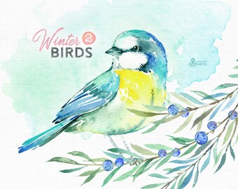 Winter Birds 2. Watercolor holiday clipart, tit, titmouse, tufted, Christmas, cards, conifers, chickadee, blue, green, forest, country