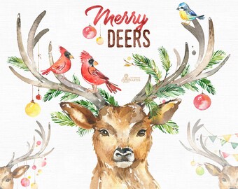 Merry Deers. Watercolor holiday clipart, birds, antlers, conifers, decorations, handpainted, reindeer, floral, invite, country, horns, holly