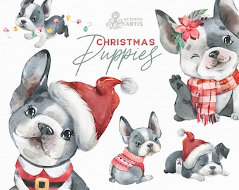 Puppies Christmas. Watercolor little animal clipart, Frenchies, French bulldog, winter, puppy, doggie, holiday, kids, dog, card, Santa hat