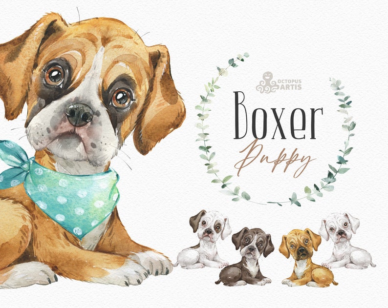 Boxer. Watercolor little animal clipart, German boxer, portrait, puppy, doggie, baby, nursery, dog, wreath, cute, pet image 1