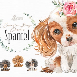 Cavalier King Charles Spaniel. Watercolor little animal clipart, portrait, puppy, doggie, baby, flowers, kids nursery, wreath, bowtie, pup
