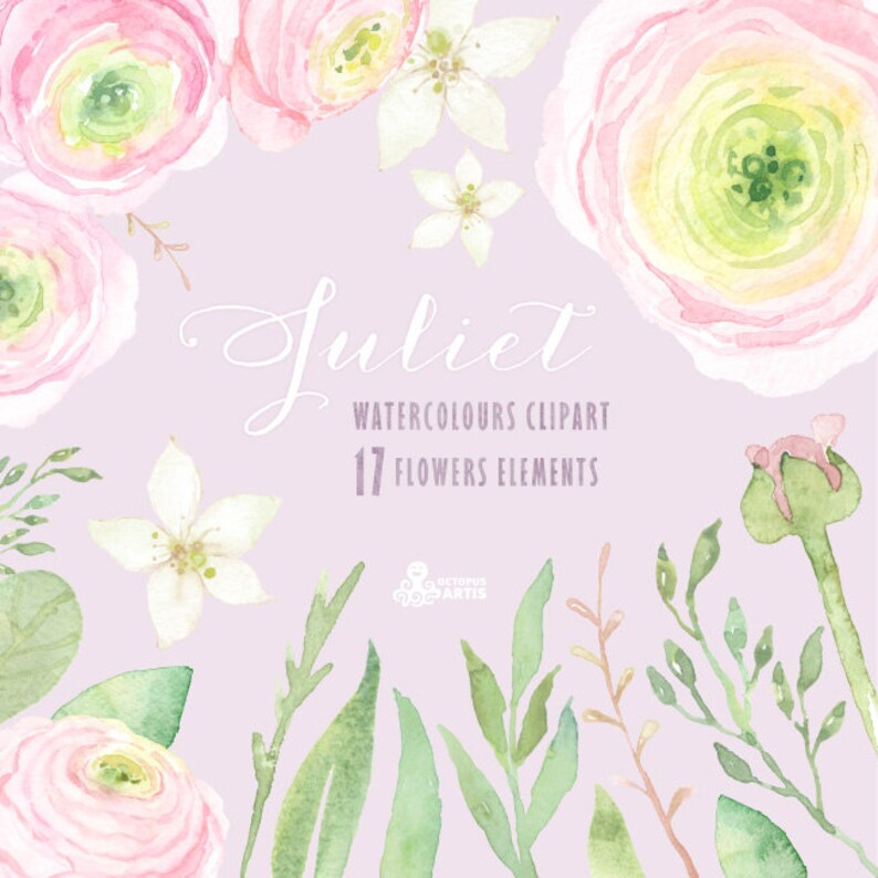 blossom invitations Handpainted watercolor ronunculus pink Juliet Watercolour Flowers Clipart romantic floral wedding diy greetings