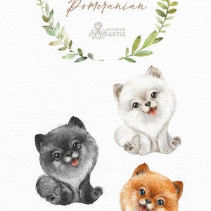 Pomeranian Dog. Watercolor little pet clipart, portrait, puppy, doggie, baby, flowers, kids, nursery, wreath, friend, bow, spitz, pom image 2