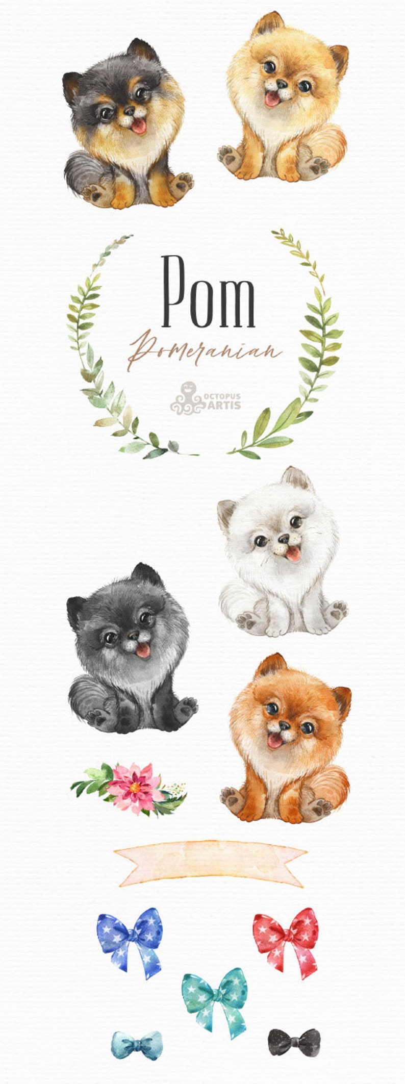 Pomeranian Dog. Watercolor little pet clipart, portrait, puppy, doggie, baby, flowers, kids, nursery, wreath, friend, bow, spitz, pom image 2