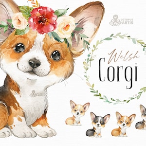 Rassen von Corgis - Hund Welsh Corgi Lustig Welpe' Sticker