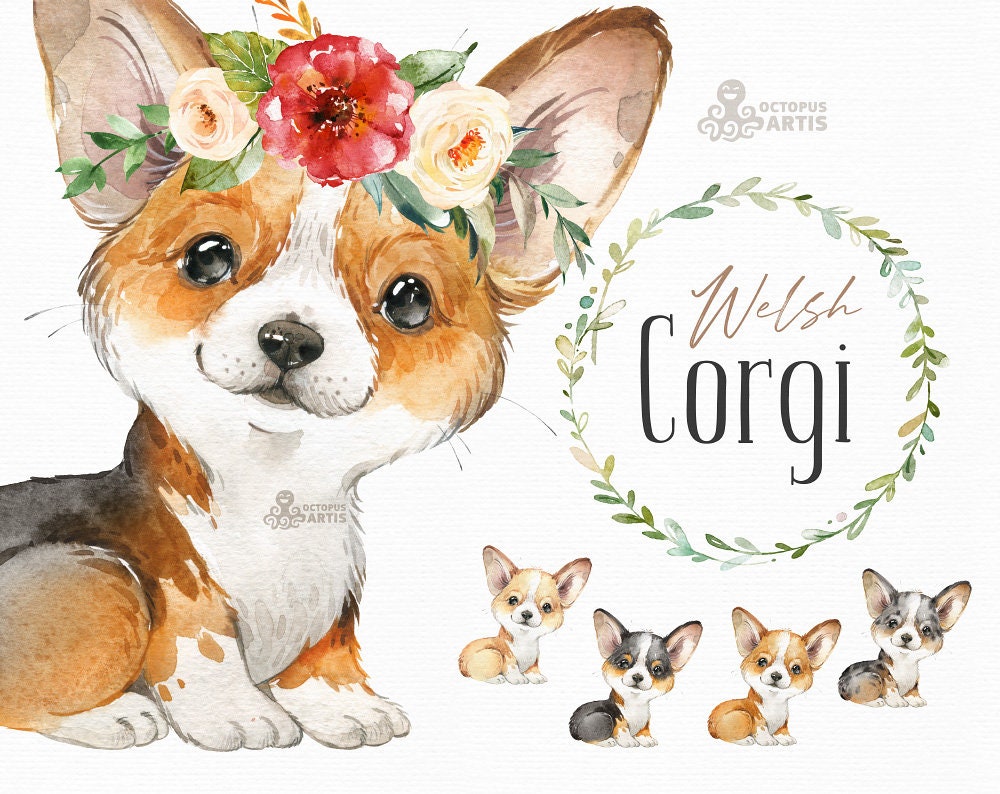 Cute Corgi Wallpaper - Etsy New Zealand