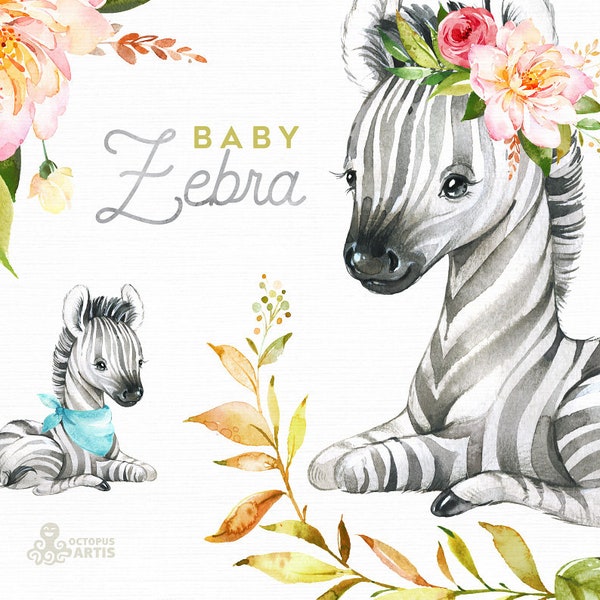 Baby Zebra. Watercolor little animal clipart, babies, flowers, safari, Africa, wreath, kids, cute, nursery art, baby-shower, boy, girl