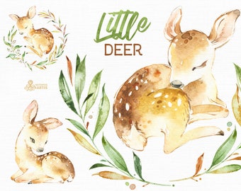 Little Deer. Watercolor animal clipart, floral wreath, roe, fawn, forest, card, leaves, country, nursery art, nature, realistic, wild,