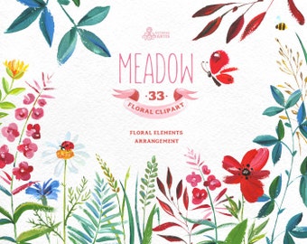 Meadow. 33 Handpainted floral elements and arrangement, wedding elements, wild flowers, invite, emblishment, country, boho, poppy, clipart