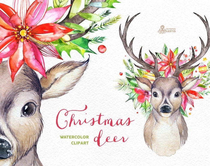 Christmas Deer photo