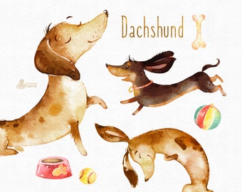 Dachshund. Watercolor dog clipart, animal, pet, badger dog, sausage dog, doggy, brown, puppy, doxie, baby, kids, nursery art, baby-shower