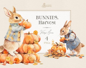 Bunnies. Harvest - Vintage. Animal clipart, Halloween, Thanksgiving, rabbit peter, hare, flowers, watercolor, nursery, png, country, farm