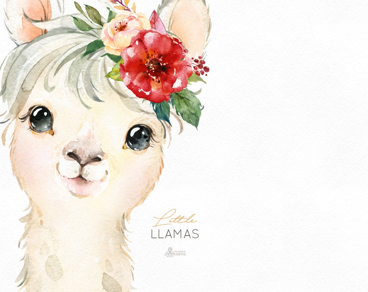 Little Llamas. Watercolor Animals Clipart Alpaca Portrait - Etsy Australia
