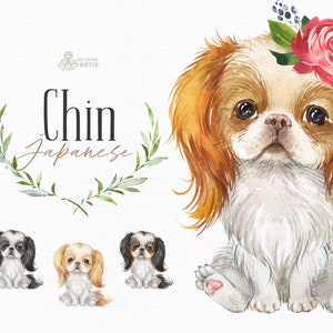 Japanese Chin. Watercolor little dog clipart, spaniel, portrait, puppy, doggie, baby, flowers, kids nursery, wreath, bowtie