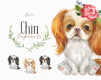 Japanese Chin. Watercolor little dog clipart, spaniel, portrait, puppy, doggie, baby, flowers, kids nursery, wreath, bowtie