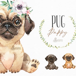 Pug. Watercolor little animal clipart, portrait, puppy, doggie, baby, flowers, kids, nursery, dog, wreath, bowtie, cute, pet, floral crown