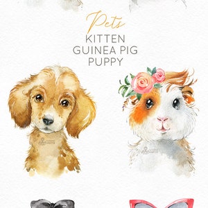 Pets. Kitten, Guinea Pig, Puppy. Watercolor little animals clipart, baby, cavy, sunglasses, pussycat, flowers, kids nursery art, baby-shower image 3